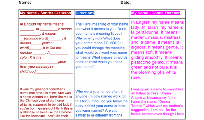 My name sandra cisneros activity