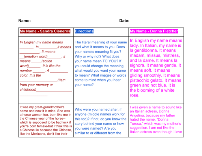 My name sandra cisneros activity