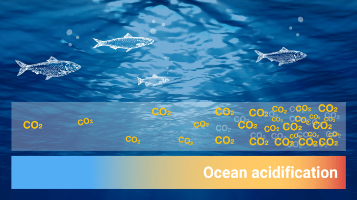 Changes in ocean conditions crossword