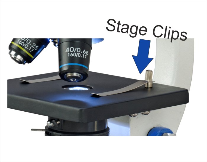 Stage clips on a microscope