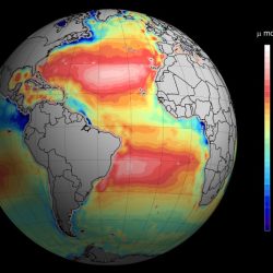 Acidification noaa schematic shellfish effects