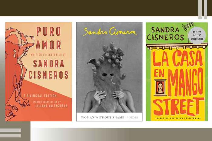 My name sandra cisneros activity