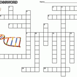 Crossword dna structure and replication