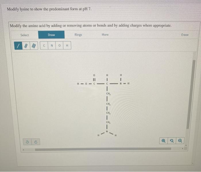 Modify lysine to show the predominant form at ph 7