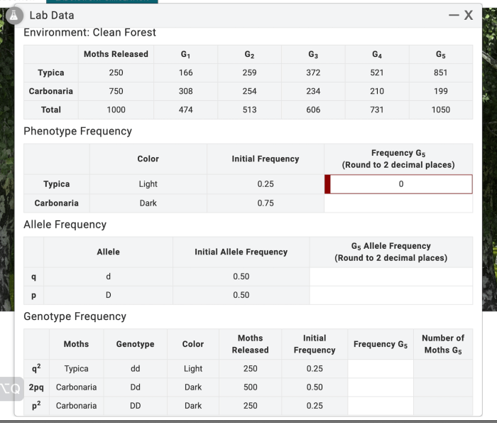 Calculate phenotype frequencies in 5th generation. record in lab data