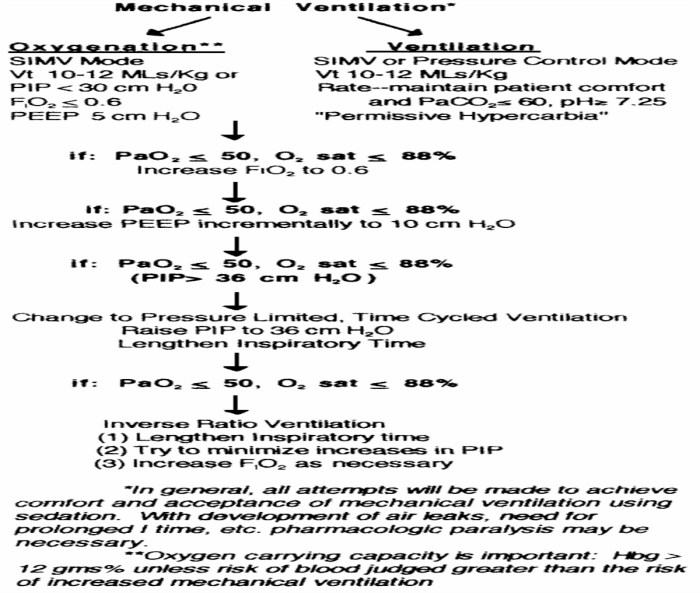 The addition of surfactant to the lung interior