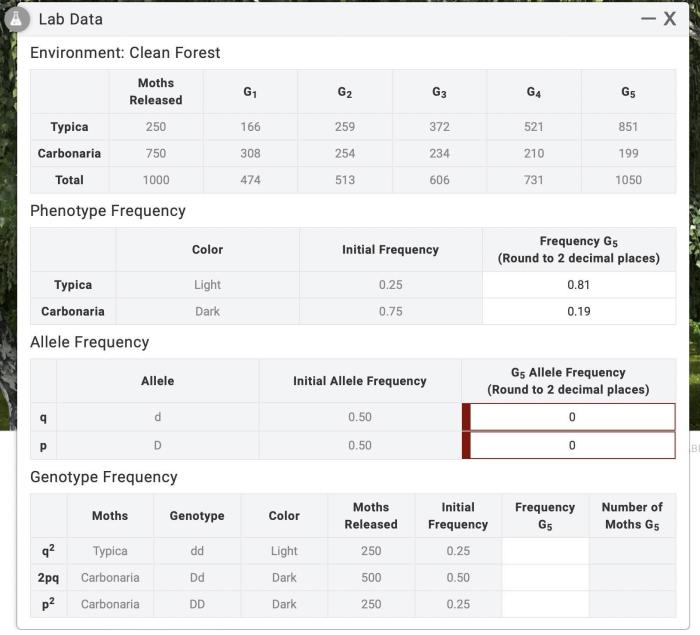 Calculate phenotype frequencies in 5th generation. record in lab data