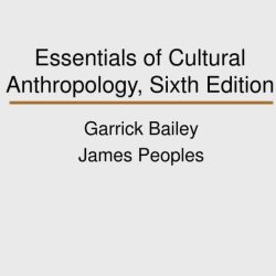 Essentials of cultural anthropology 3rd edition pdf