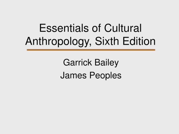 Essentials of cultural anthropology 3rd edition pdf