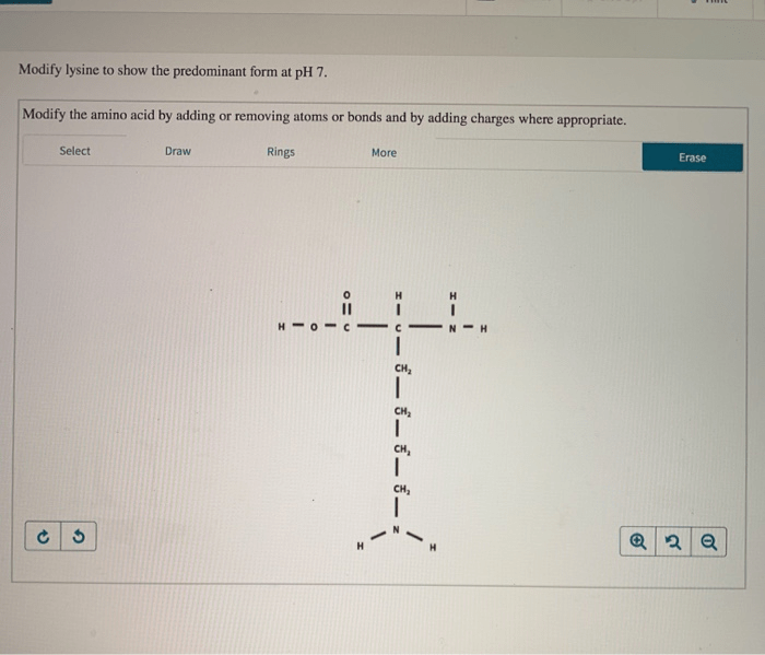 Lysine form predominant modify show ph below transcribed text chegg