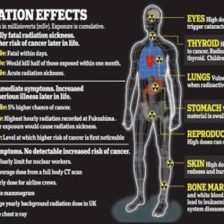 Radiation mutations dna ionizing double breaks single stranded effect backbone causes mutation strand gamma rays thymine light ultraviolet non analogs