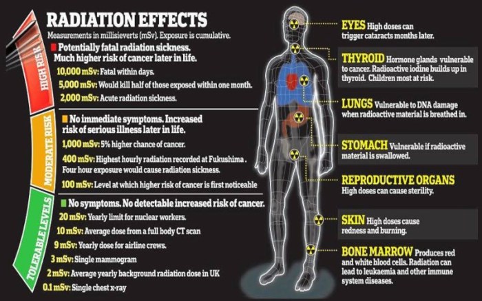 Radiation mutations dna ionizing double breaks single stranded effect backbone causes mutation strand gamma rays thymine light ultraviolet non analogs